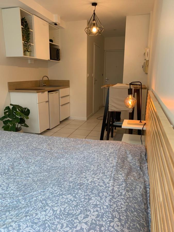 Apt Lyon Flachet Villeurbanne Exterior photo